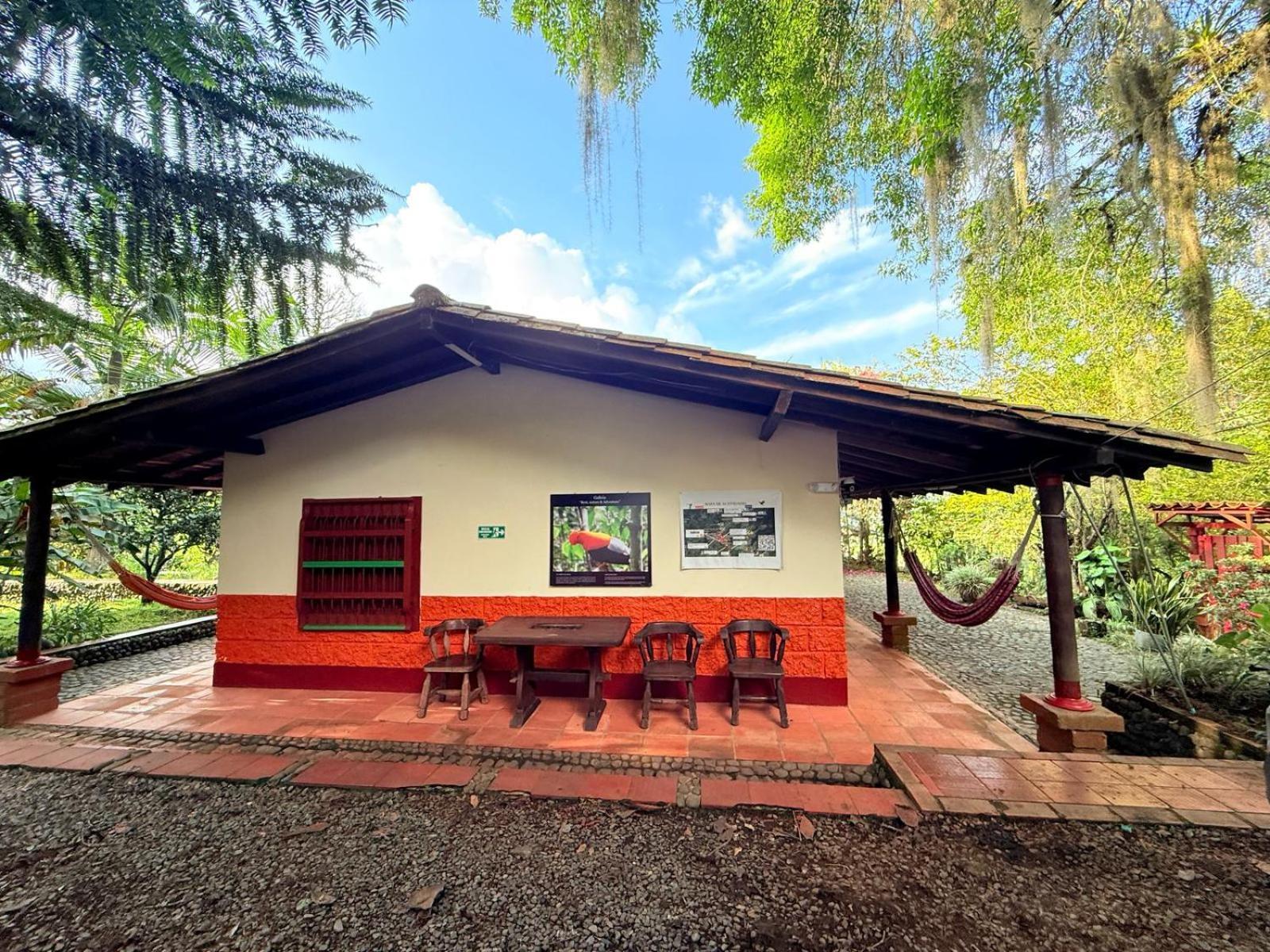Glamping Colibri, Bosque Vecino Y Vista A La Montana Al Mismo Tiempo Jardin